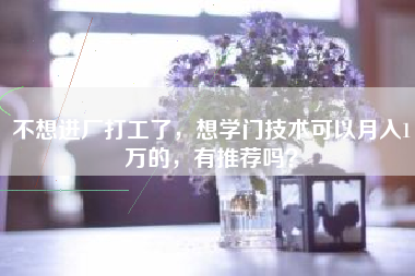 不想进厂打工了，想学门技术可以月入1万的，有推荐吗？