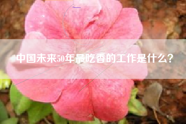 中国未来50年最吃香的工作是什么？