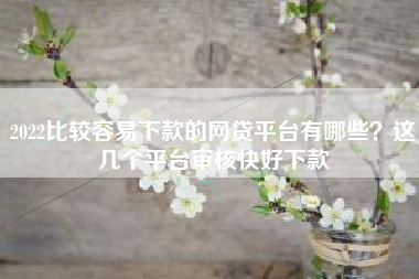 2022比较容易下款的网贷平台有哪些？这几个平台审核快好下款