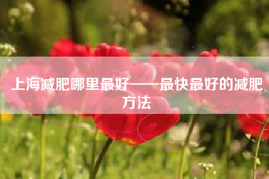 上海减肥哪里最好——最快最好的减肥方法
