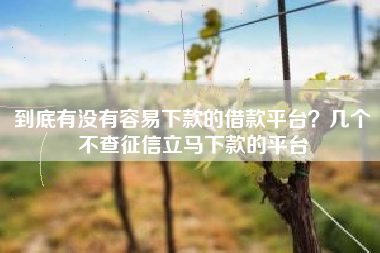 到底有没有容易下款的借款平台？几个不查征信立马下款的平台