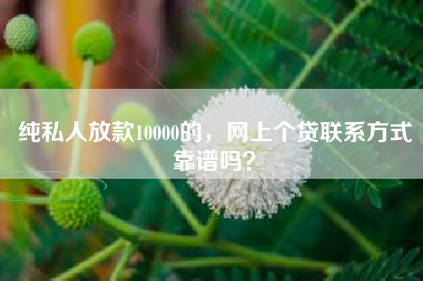 纯私人放款10000的，网上个贷联系方式靠谱吗？