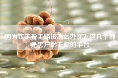 因为钱走投无路该怎么办啊？这几个都是黑户必下款的平台