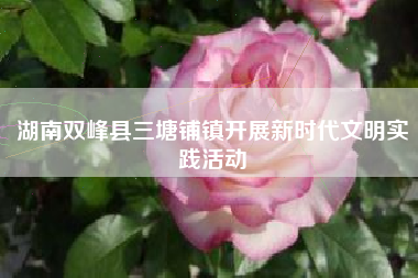 湖南双峰县三塘铺镇开展新时代文明实践活动