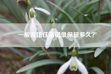 一般宾馆住宿记录保留多久？