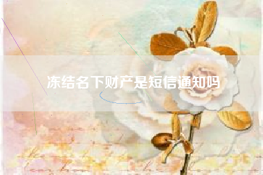 冻结名下财产是短信通知吗