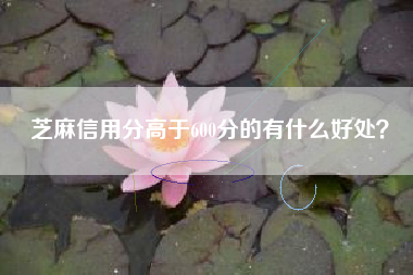 芝麻信用分高于600分的有什么好处？