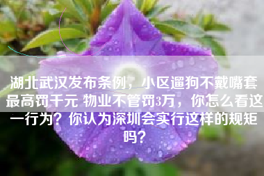 湖北武汉发布条例，小区遛狗不戴嘴套最高罚千元 物业不管罚3万，你怎么看这一行为？你认为深圳会实行这样的规矩吗？