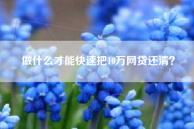 做什么才能快速把10万网贷还清？