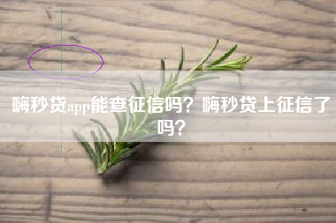 嗨秒贷app能查征信吗？嗨秒贷上征信了吗？