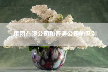 集团有限公司和普通公司的区别