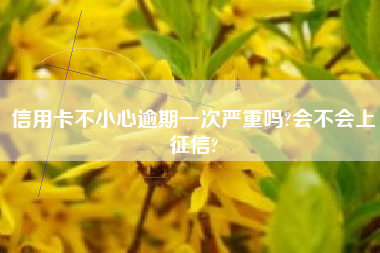信用卡不小心逾期一次严重吗?会不会上征信?