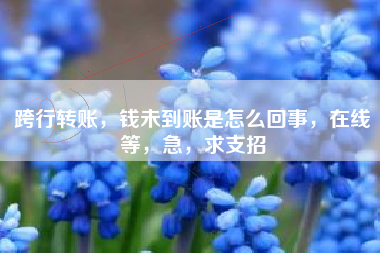 跨行转账，钱未到账是怎么回事，在线等，急，求支招