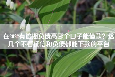 在2022有逾期负债高哪个口子能借款？这几个不看征信和负债都能下款的平台