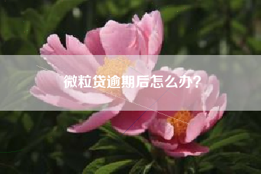 微粒贷逾期后怎么办？