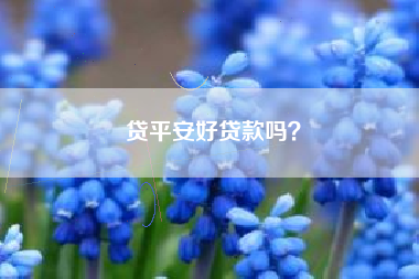 贷平安好贷款吗？