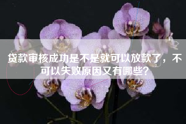 贷款审核成功是不是就可以放款了，不可以失败原因又有哪些？