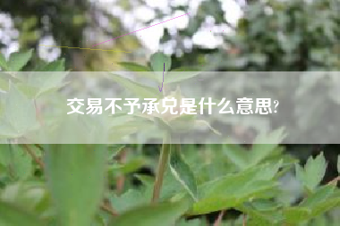 交易不予承兑是什么意思?