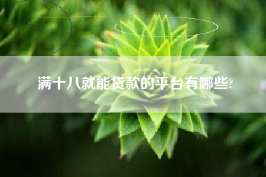 满十八就能贷款的平台有哪些?