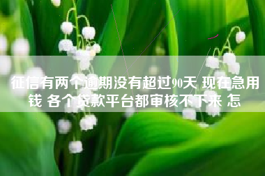 征信有两个逾期没有超过90天 现在急用钱 各个贷款平台都审核不下来 怎