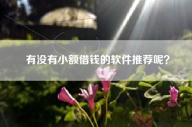 有没有小额借钱的软件推荐呢？