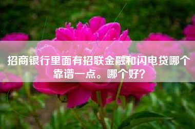 招商银行里面有招联金融和闪电贷哪个靠谱一点。哪个好？