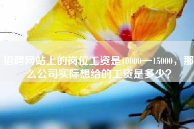 招聘网站上的岗位工资是10000—15000，那么公司实际想给的工资是多少？