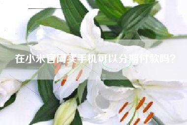 在小米官网买手机可以分期付款吗？