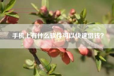 手机上有什么软件可以快速借钱？