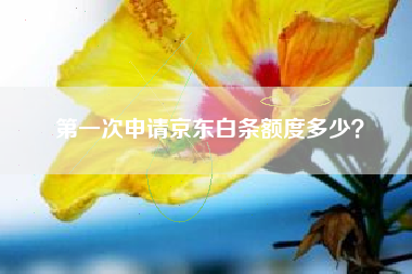 第一次申请京东白条额度多少？