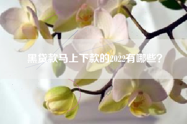 黑贷款马上下款的2022有哪些？