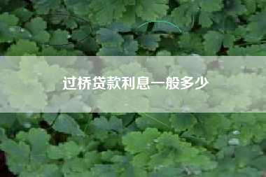 过桥贷款利息一般多少