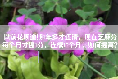 以前花呗逾期1年多才还清，现在芝麻分每个月才提1分，连续17个月，如何提高？