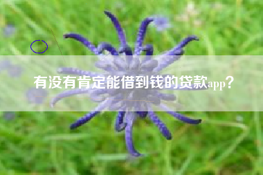 有没有肯定能借到钱的贷款app？