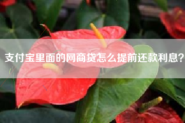 支付宝里面的网商贷怎么提前还款利息？