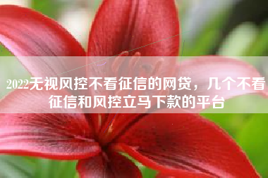 2022无视风控不看征信的网贷，几个不看征信和风控立马下款的平台