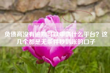 负债高没有逾期可以申请什么平台？这几个都是无条件秒到账的口子