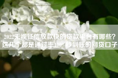 2022无视征信放款快的贷款平台有哪些？这几个都是通过率100%秒到账的网贷口子