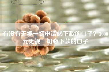 有没有无视一切申请必下款的口子？3000元无视一切必下款的口子