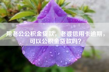 用老公公积金贷款，老婆信用卡逾期，可以公积金贷款吗？