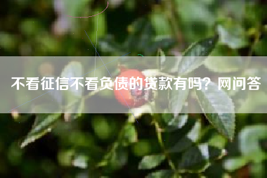 不看征信不看负债的贷款有吗？网问答