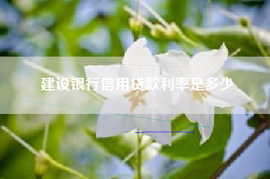 建设银行信用贷款利率是多少