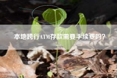 本地跨行ATM存款需要手续费吗？