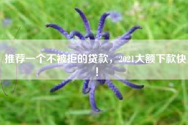 推荐一个不被拒的贷款，2021大额下款快！