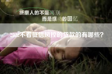 2022不看征信风控的贷款的有哪些？