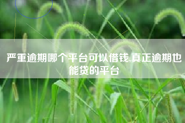 严重逾期哪个平台可以借钱,真正逾期也能贷的平台