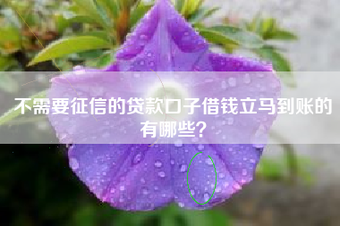 不需要征信的贷款口子借钱立马到账的有哪些？