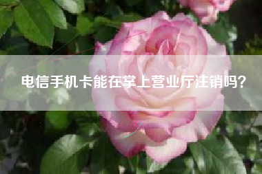 电信手机卡能在掌上营业厅注销吗？