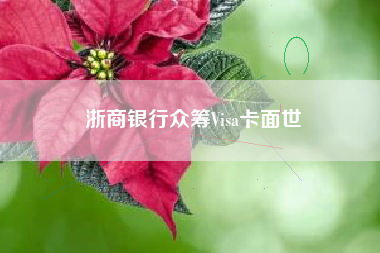 浙商银行众筹Visa卡面世