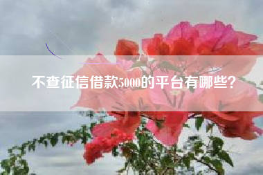 不查征信借款5000的平台有哪些？